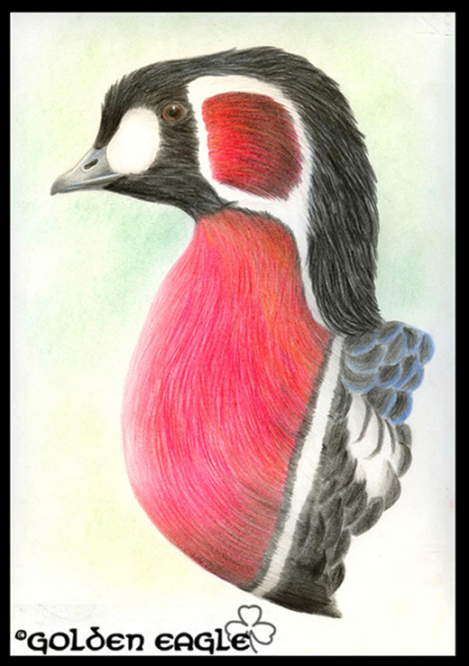 Oca Collorosso